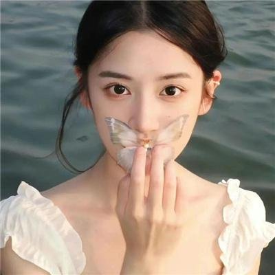 卧虎藏龙