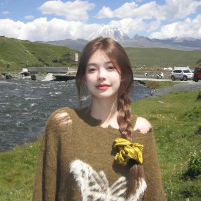 鸽之翼