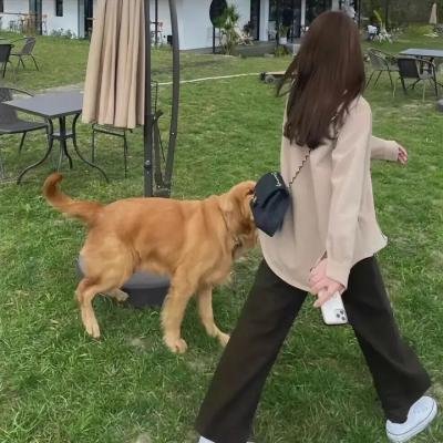 重案六组